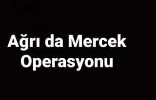 Ağrı da Mercek Operasyonu