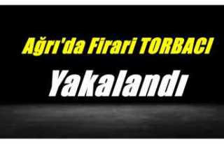 Ağrı'da Firari Torbacı Yakalandı