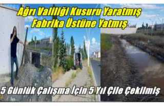 Valilik Kusuru Yaratmış Ağrı Şeker Üstüne Yatmış