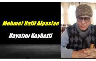 Mehmet Halit Alpaslan Hayatını Kaybetti