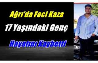 Ağrı'da Feci Kaza 17 Yaşında Hayatını Kaybetti