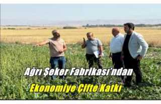 Ağrı Şeker Fabrikası’ndan Ekonomiye Çifte Katkı