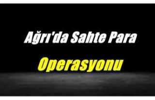 Ağrı'da Sahte Para Operasyonu