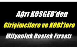 Ağrı KOSGEB'ten Girişimcilere 2 Milyondan...