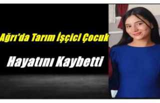 Ağrı'da Ailesi ile Birlikte Hasada Giden Çocuk...