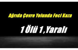 Ağrı'da karşıdan karşıya geçen 2 kadına...