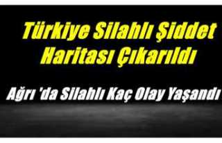 Şiddet Haritasında Ağrı Silahlı Şiddette Kaçıncı...