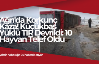 Ağrı'da Korkunç Kaza! Küçükbaş Yüklü...