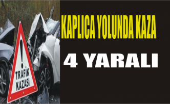 Kaplıca Yolunda Kaza