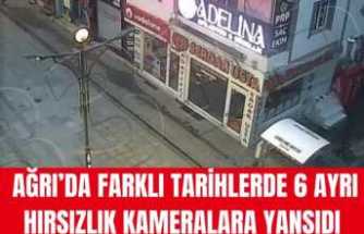 Ağrı Polisi Hırsızlık Mesaisinde