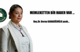Memleketten Bir Haber Var