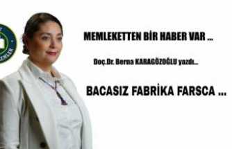 Bacasız Fabrika Farsca