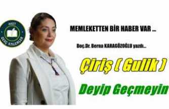 Çiriş (Gulik ) Deyip Geçmeyin