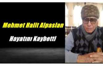 Mehmet Halit Alpaslan Hayatını Kaybetti