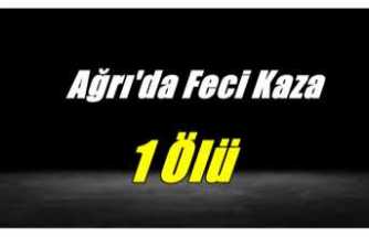 Ağrı'da Feci Kaza 1 Ölü