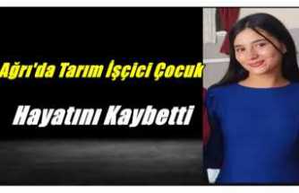 Ağrı'da Ailesi ile Birlikte Hasada Giden  Çocuk Feci Şekilde Can Verdi