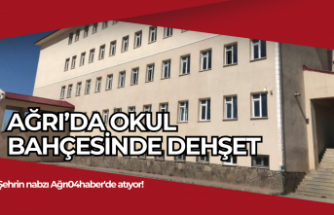 Ağrı'da Okul Bahçesinde Dehşet: 7 Yaşındaki Merve Yaşam Savaşı Veriyor!