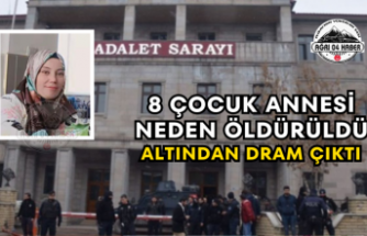 8 Çocuk Annesi Neden Öldürüldü Altından Dram Çıktı