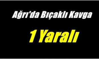 Ağrıda bıçaklı kavga 1 yaralı