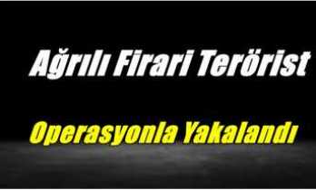 Ağrılı Firari Terörist Operasyonla Yakalandı