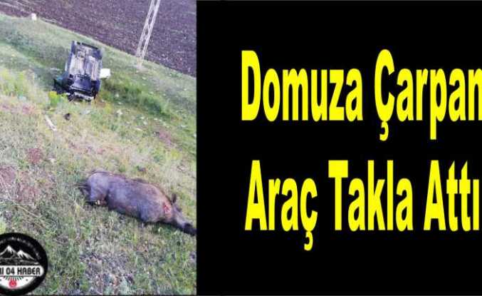 Ağrı da Domuza Çarpan Araç Takla Attı