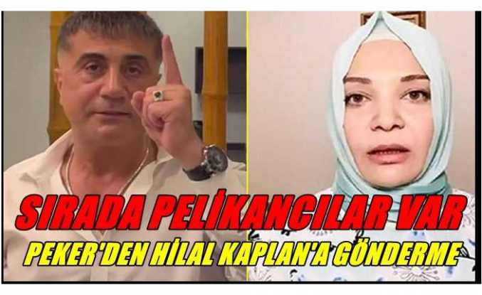 Sedat Peker Pelikan'a Sardı ,Sırada Hilal Kaplan Var