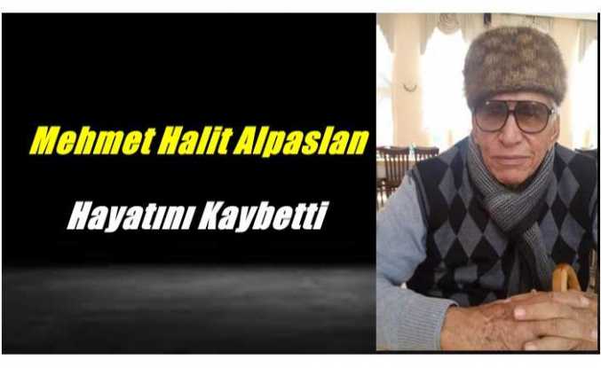 Mehmet Halit Alpaslan Hayatını Kaybetti