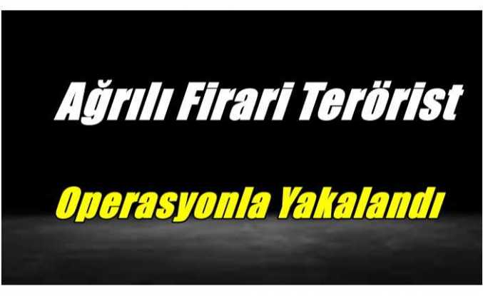 Ağrılı Firari Terörist Operasyonla Yakalandı