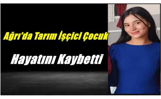 Ağrı'da Ailesi ile Birlikte Hasada Giden Çocuk Feci Şekilde Can Verdi