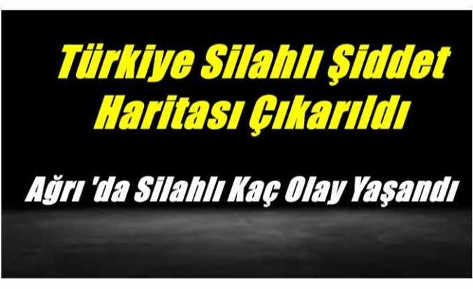 Şiddet Haritasında Ağrı Silahlı Şiddette Kaçıncı Sırada Yer Aldı