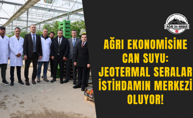 Ağrı Ekonomisine Can Suyu: Jeotermal Seralar İstihdamın Merkezi Oluyor!