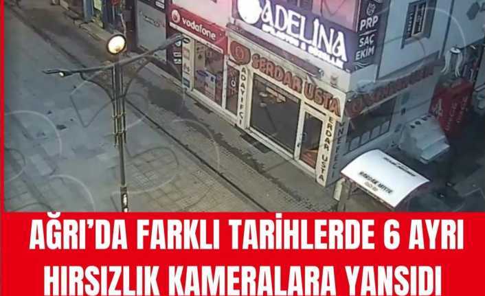Ağrı Polisi Hırsızlık Mesaisinde