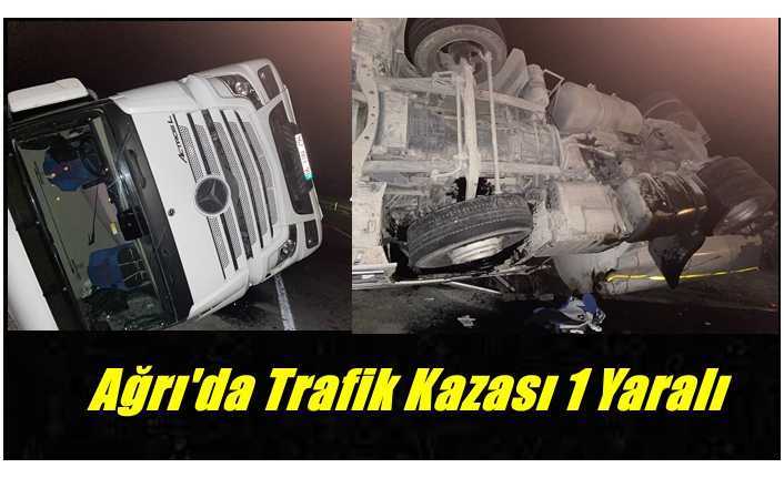 Ağrı'da Devrilen Aracın Sürücüsü Yaralandı