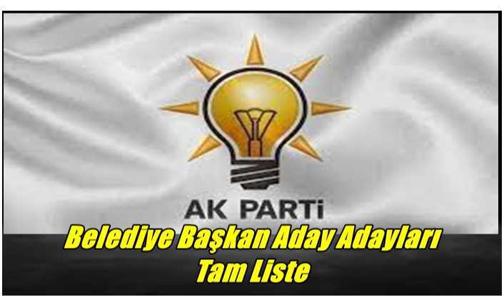 AK Parti Ağrı Belediye Başkan Aday Adayları Tam Liste