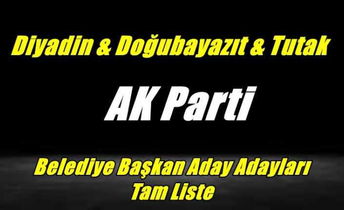 AK Parti Diyadin,Doğubayazıt ve Tutak Aday Adayları Tam Liste