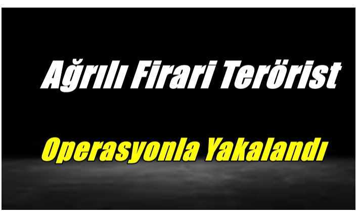 Ağrılı Firari Terörist Operasyonla Yakalandı